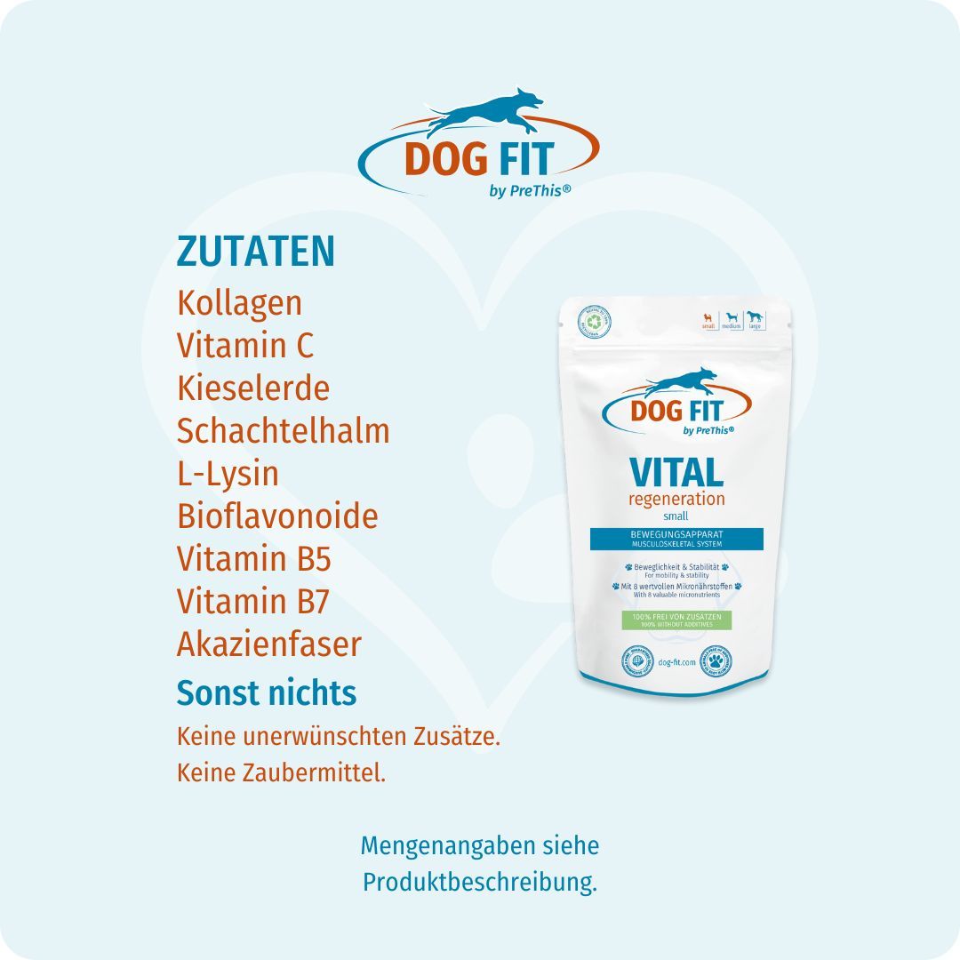 DOG FIT VITAL regeneration small Beutel. Zutatenliste: Kollagen, Vitamin C, Kieselerde, u.a. Text: Sonst nichts.