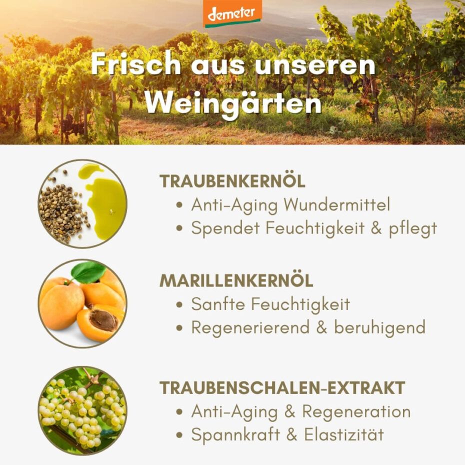 Text mit Traubenkernöl, Marillenkernöl und Traubenschalen-Extrakt. Demeter-Logo. Abbildungen von Trauben, Aprikosen und Traubenkernen.