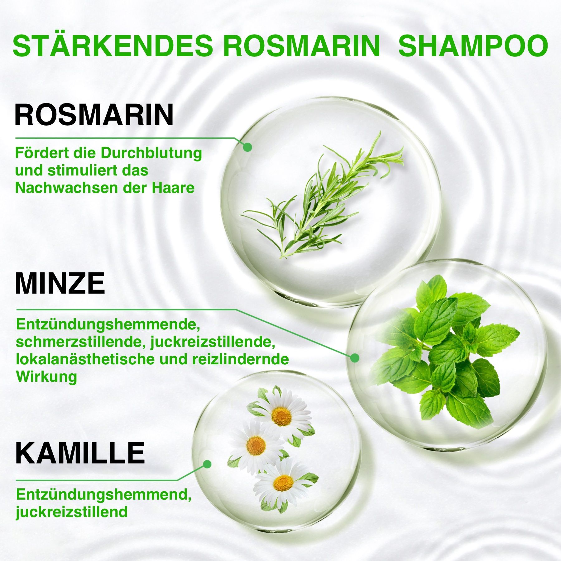 ALIVER Haarshampoo mit Rosmarinöl für Haarpflege