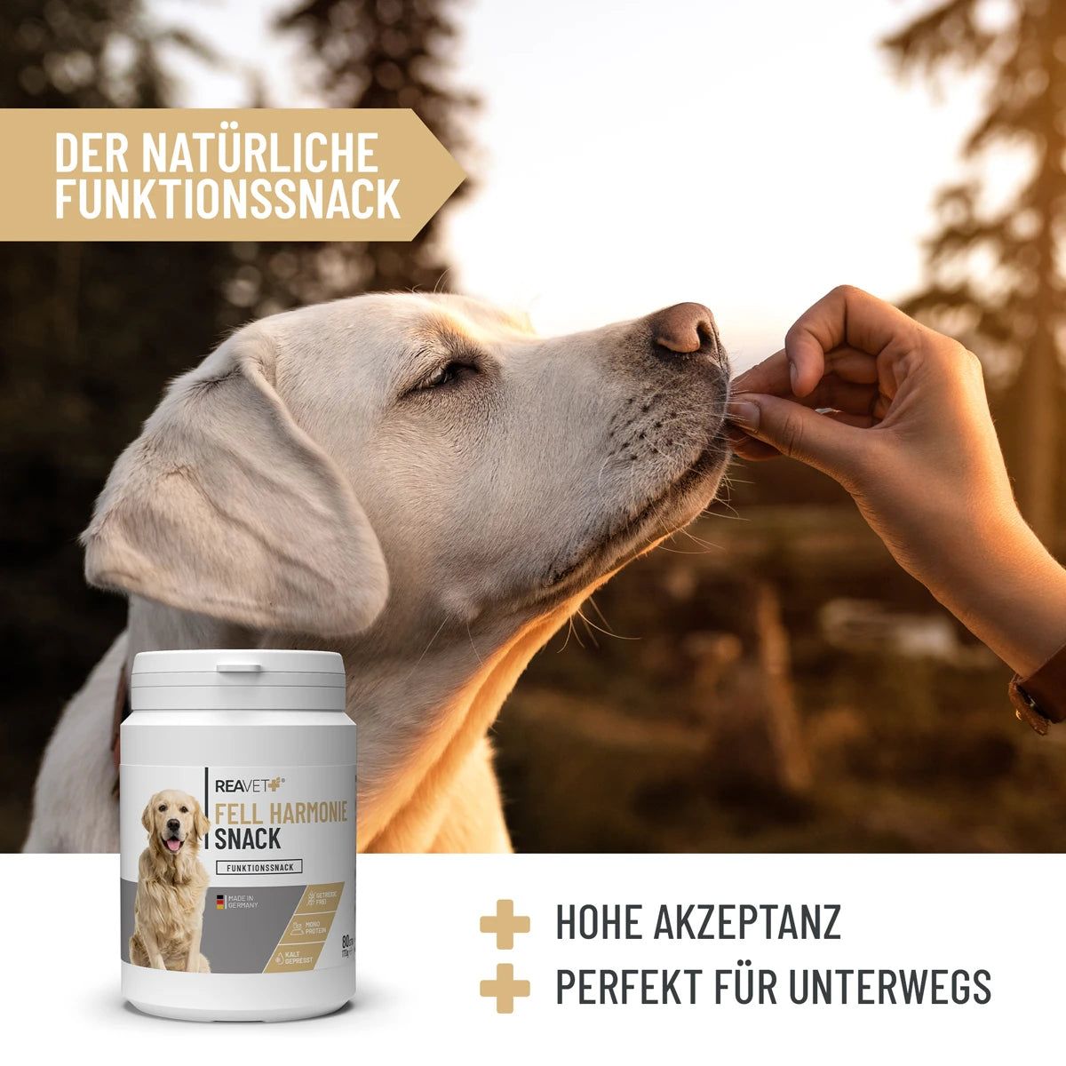 Hund bekommt Snack von Hand. Dose ReaVET Fell Harmonie Snack. Text: Der natürliche Funktionssnack, Hohe Akzeptanz, Perfekt für unterwegs.