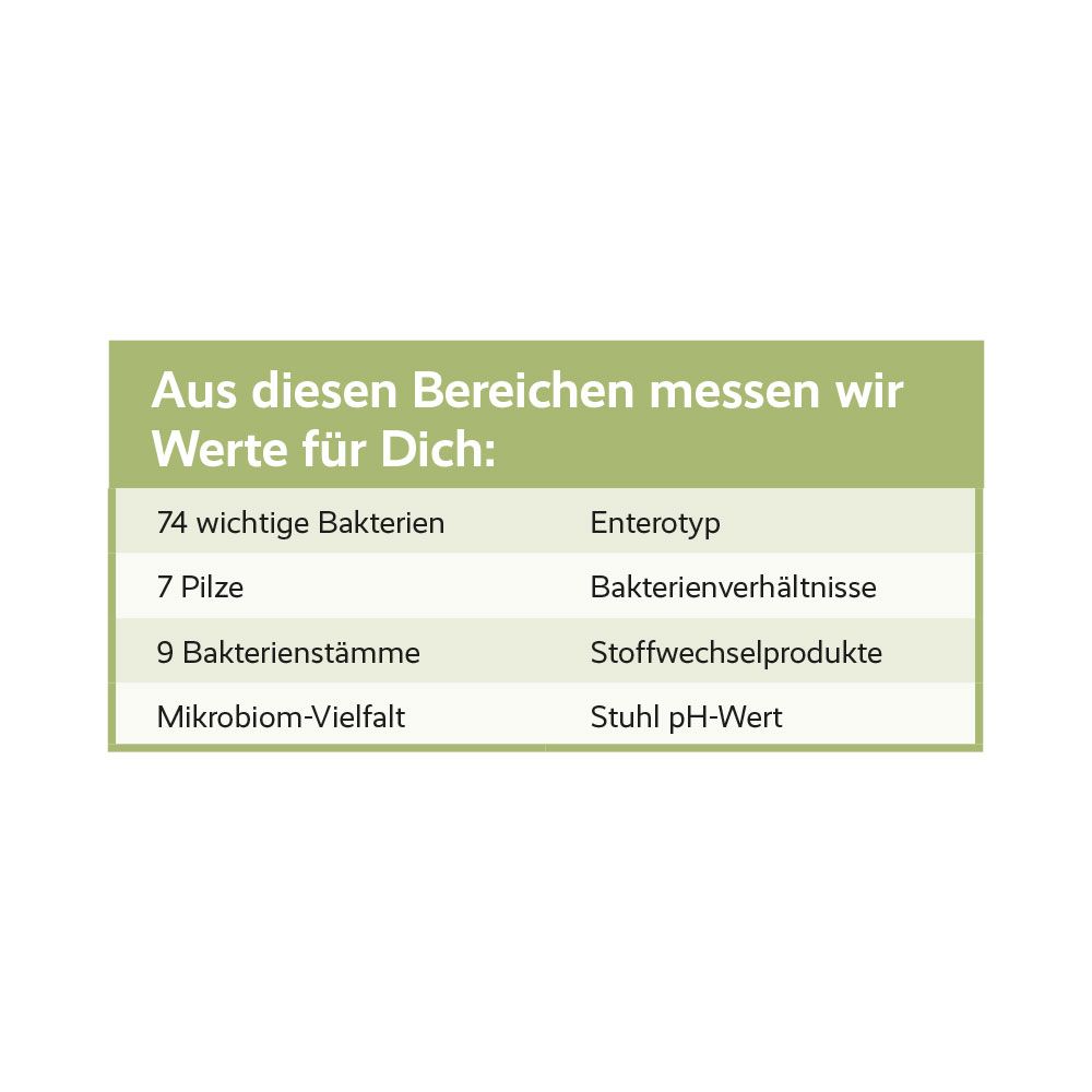 Übersicht der gemessenen Werte für die Mikrobiomanalyse: Bakterien, Pilze, Stämme und Vielfalt.