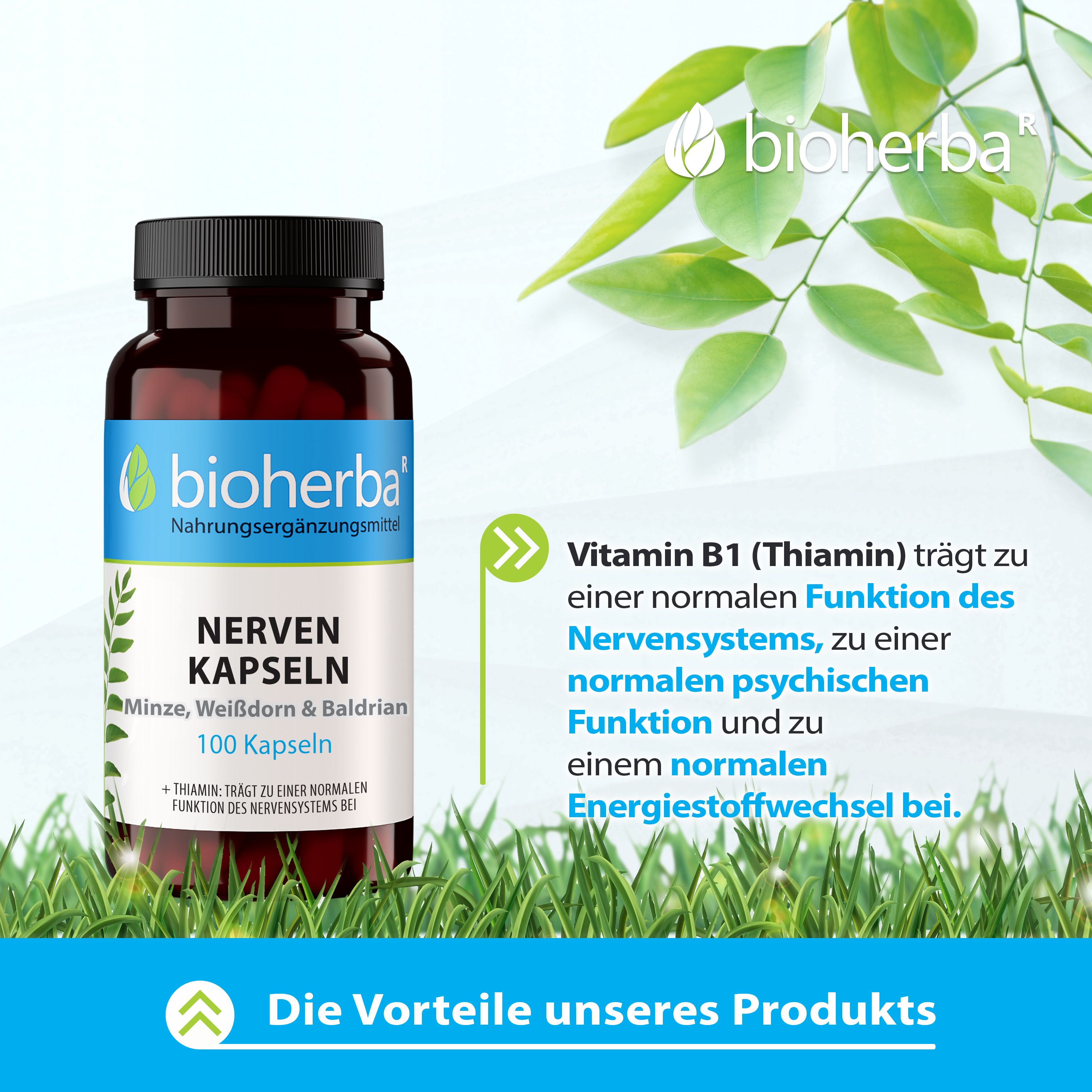 Braune Flasche mit weißen Etikett. Aufschrift: Nerven Kapseln, Minze, Weißdorn & Baldrian. Logo: Bioherba. Grünem Hintergrund.