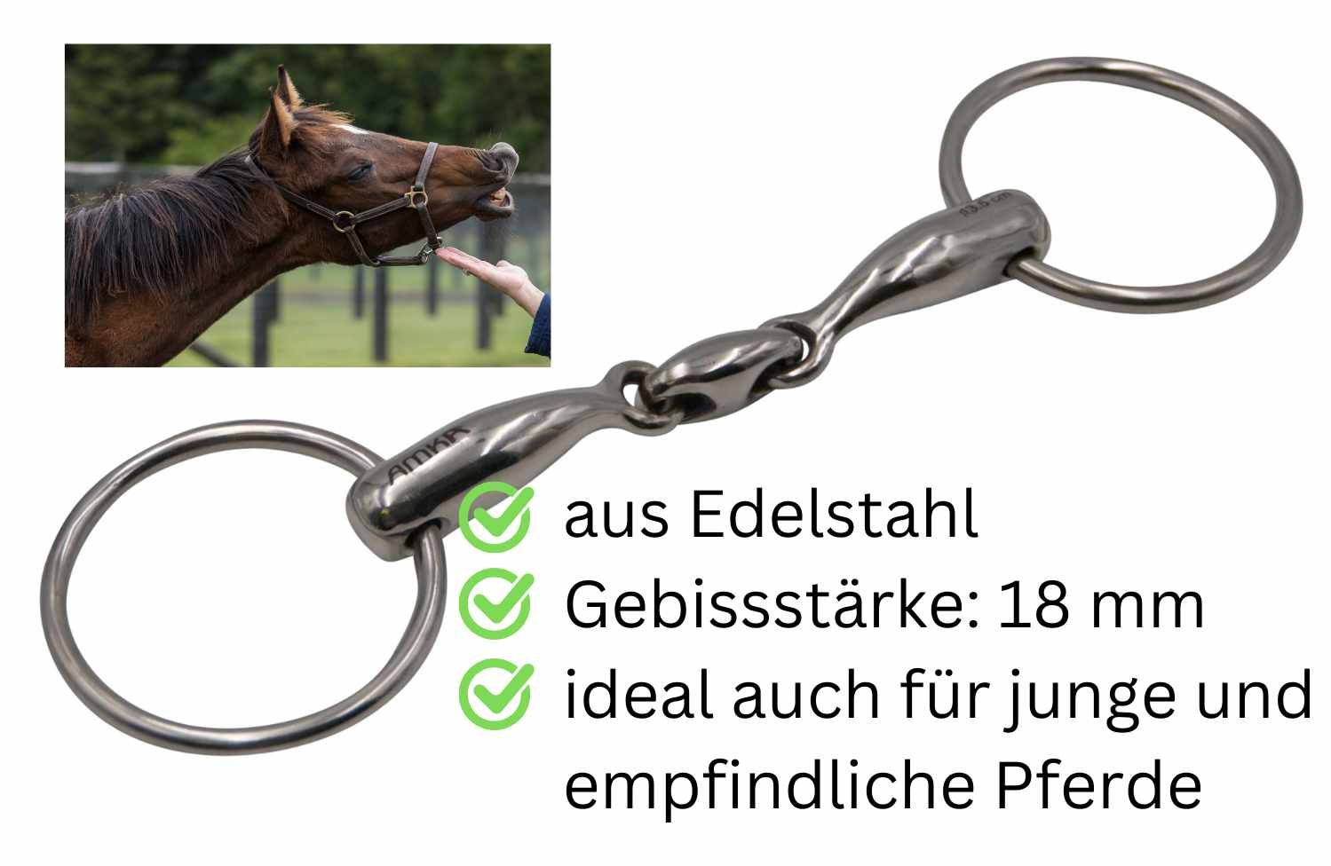 Edelstahl-Wassertrense, doppelt gebrochen. Gebissstärke 18 mm. Ringe. Ideal für junge und empfindliche Pferde.