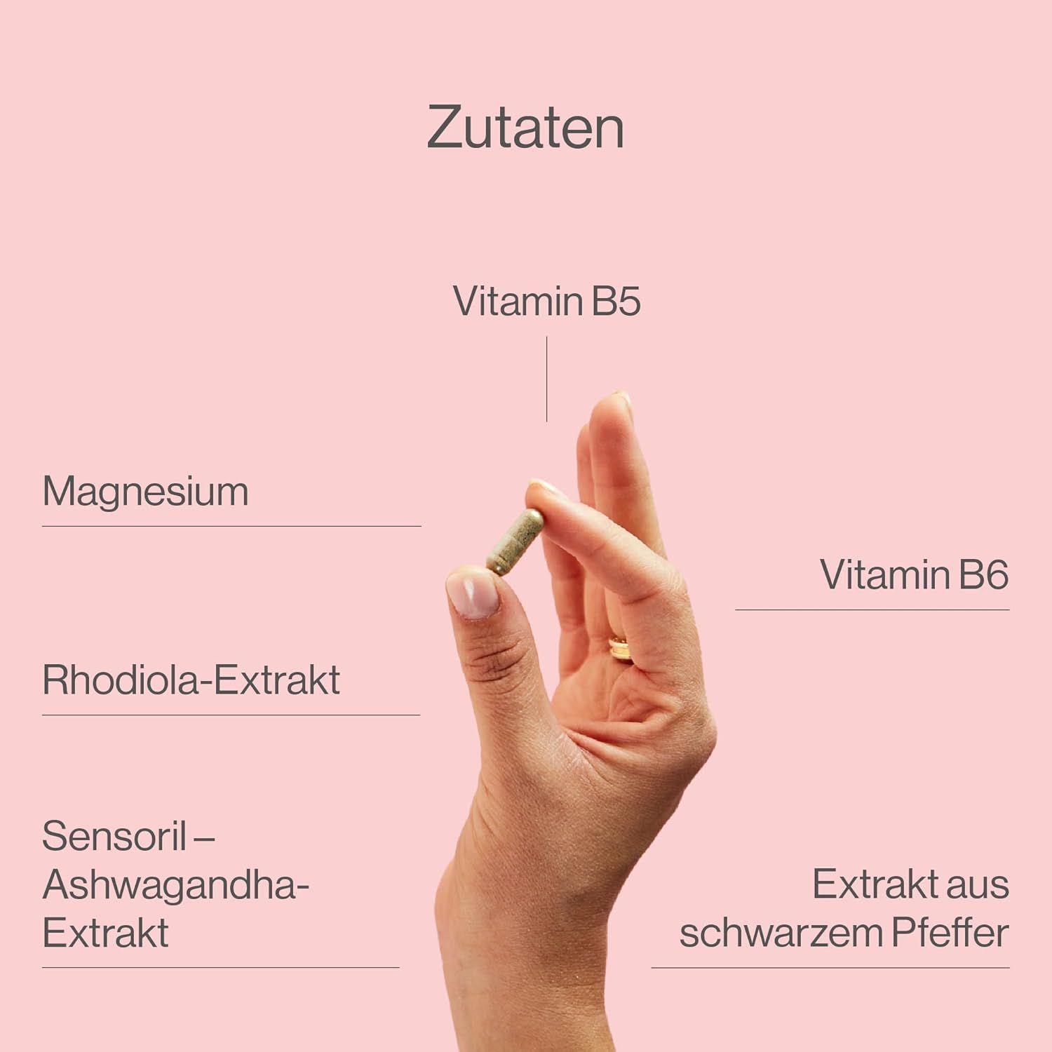 Hand hält Kapsel. Beschriftung: Magnesium, Vitamin B5, Rhodiola-Extrakt, Vitamin B6, Sensoril-Ashwagandha-Extrakt, Extrakt aus schwarzem Pfeffer.