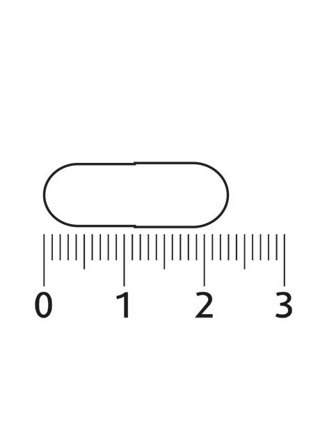 Eine leere Kapsel über einem Lineal, das Zentimeter anzeigt. Die Kapsel ist etwa 2 cm lang.