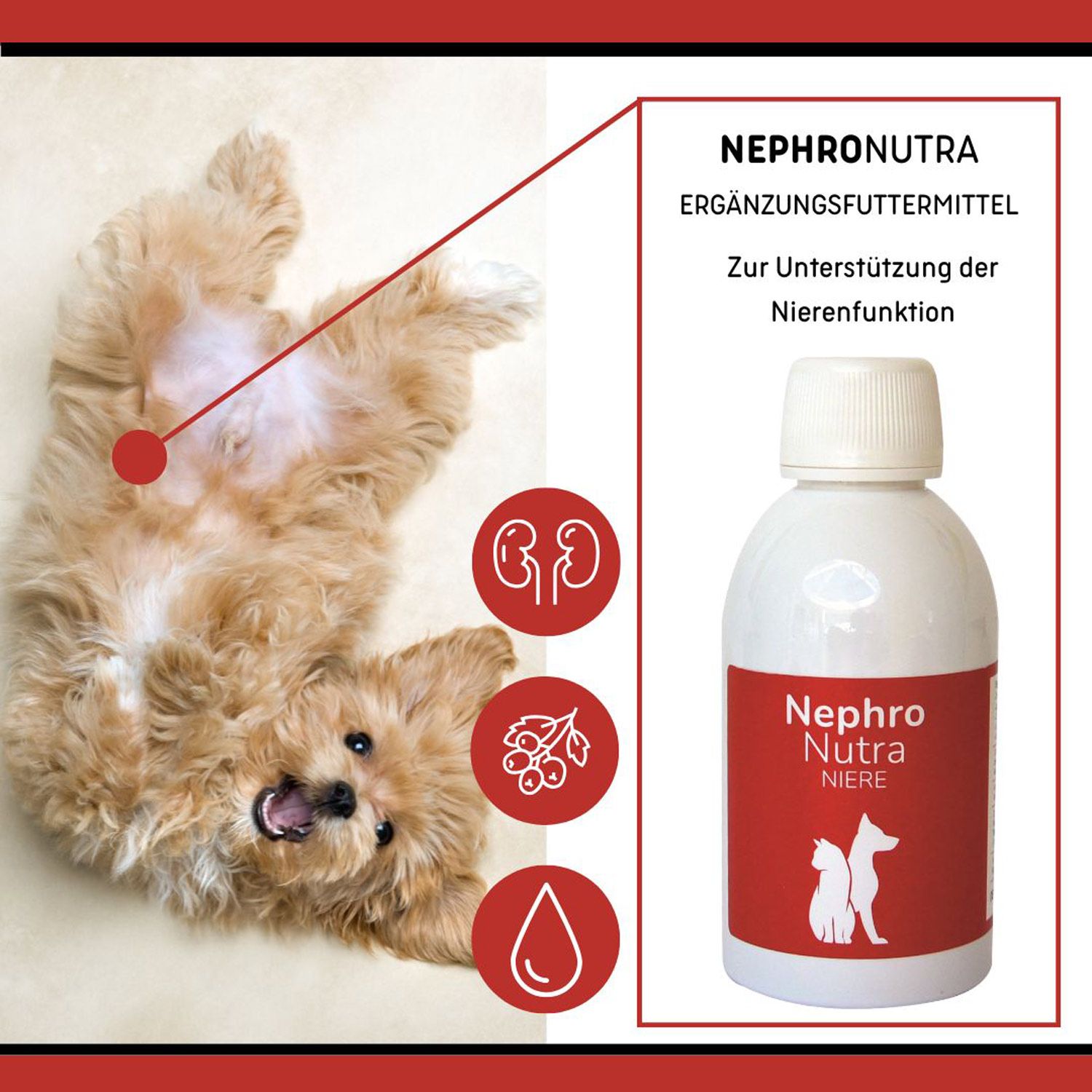 NephroNutra für Hunde und Katzen