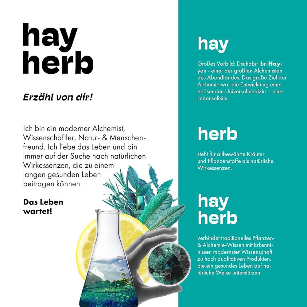 hay herb All-in-one Longevity Komplex