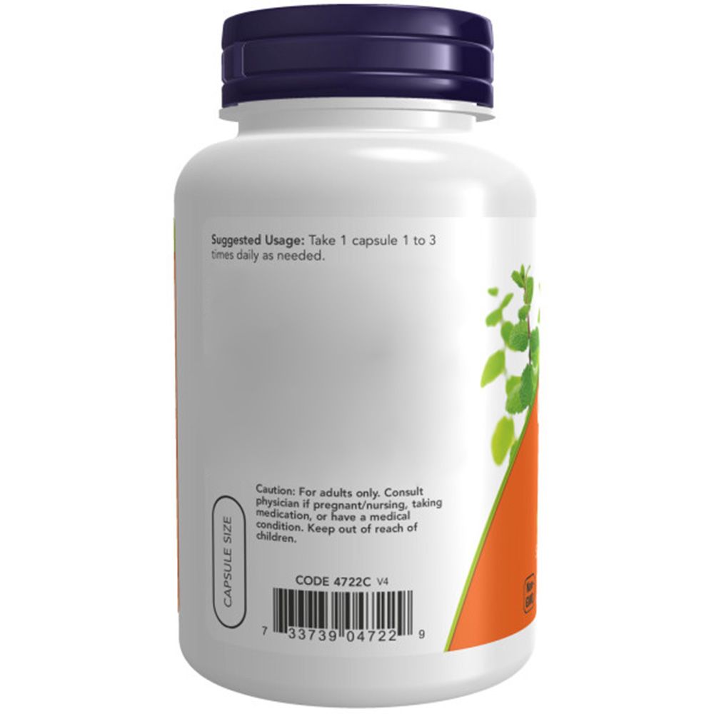 Rückseite einer weißen Flasche mit blauem Deckel. Etikett mit Informationen: Anwendungshinweis, Code und Barcode. NOW FOODS Logo.