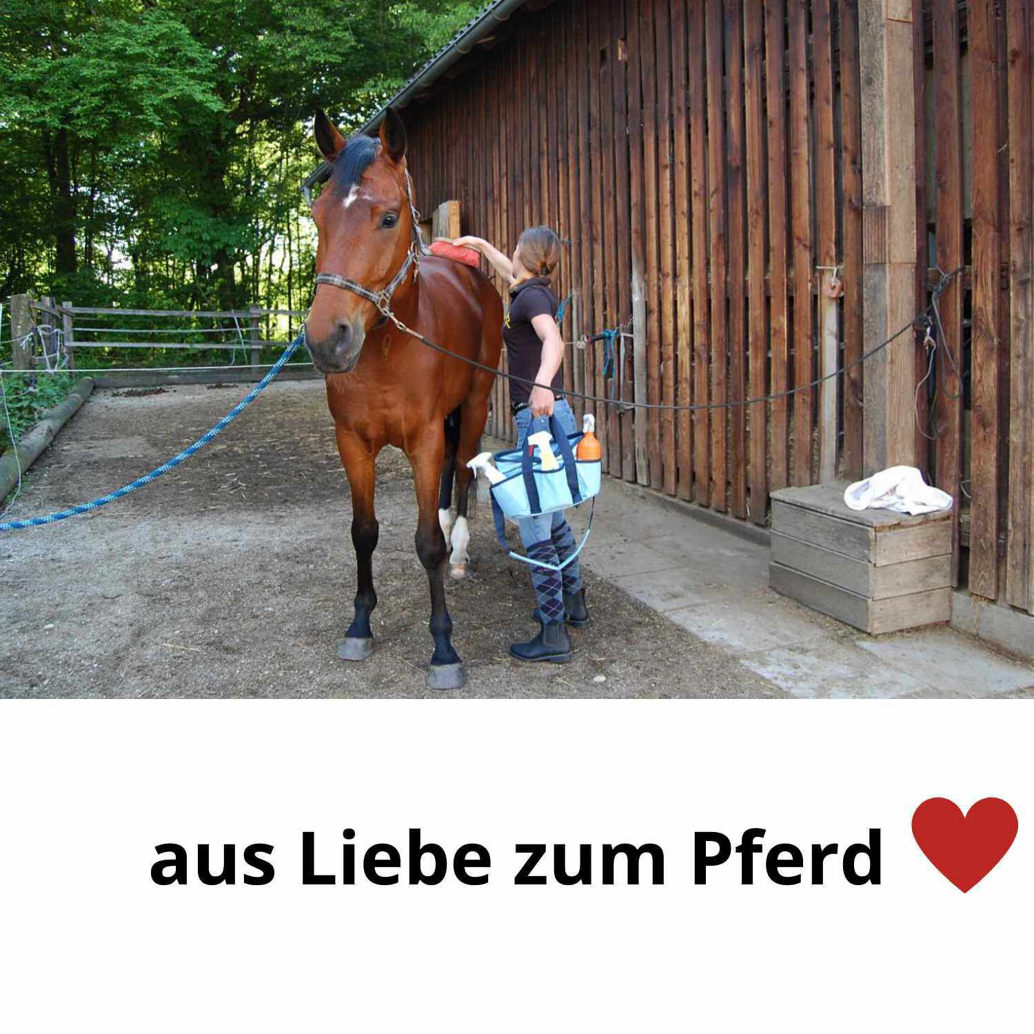Person putzt Pferd. Blaue Putztasche mit Zubehör. Text: aus Liebe zum Pferd.