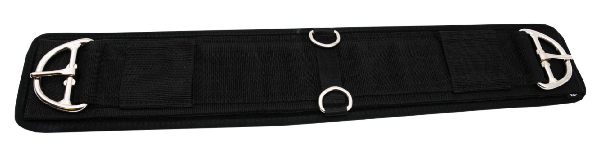 Schwarzer Sattelgurt mit silbernen Schnallen und Ringen.