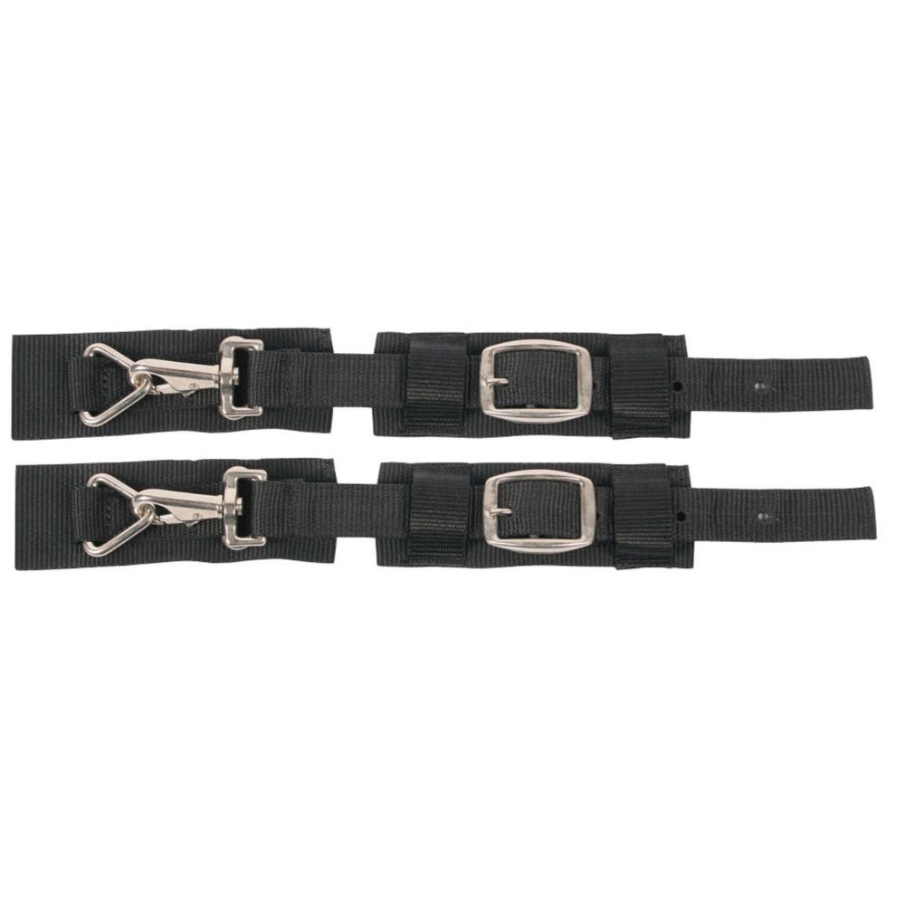 Zwei schwarze Brustverschlüsse mit Metallhaken und Schnallen.