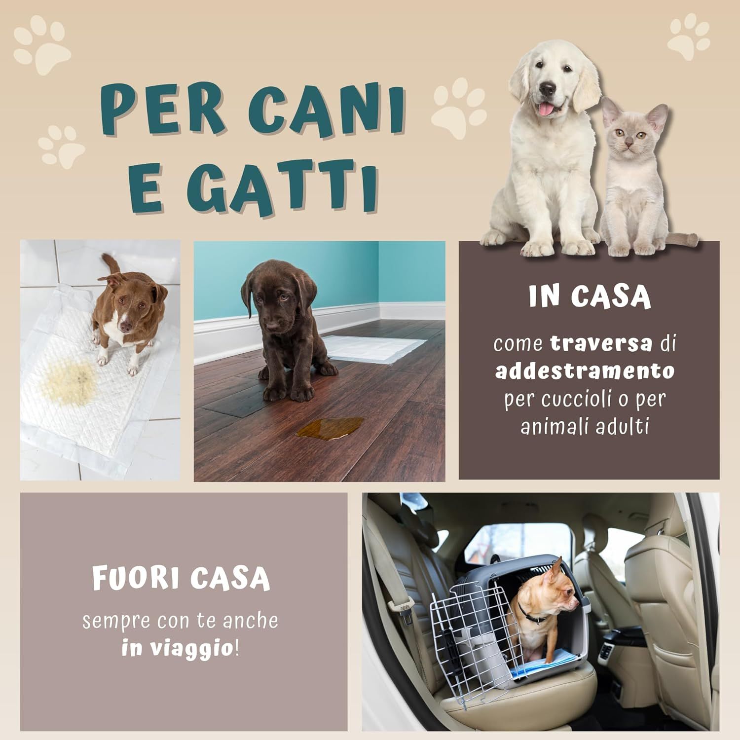 Anwendungsbeispiele für Hunde und Katzen. In Haus und unterwegs. Hunde und Katzen auf Pads.