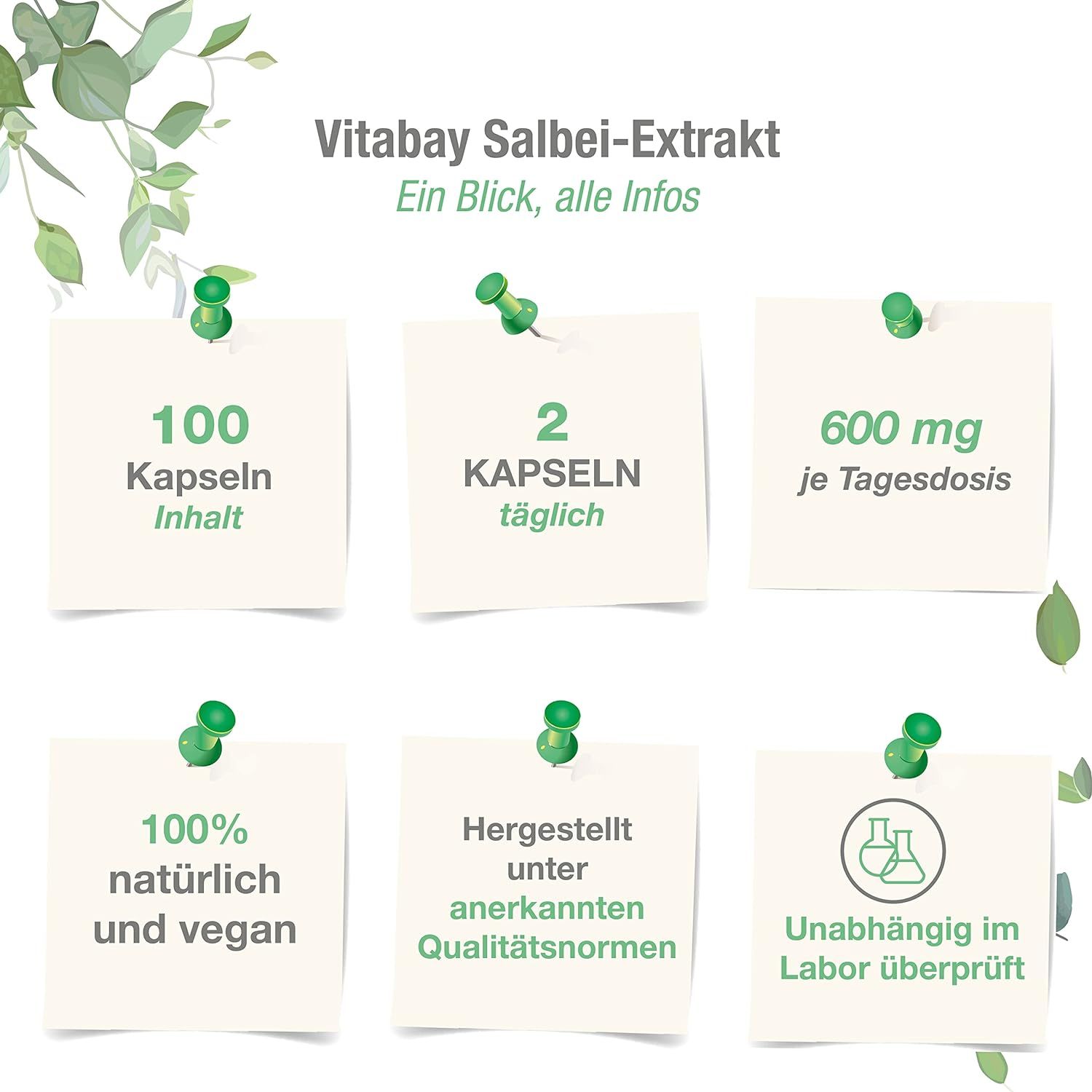 Vitabay Salbei Extrakt 600 mg