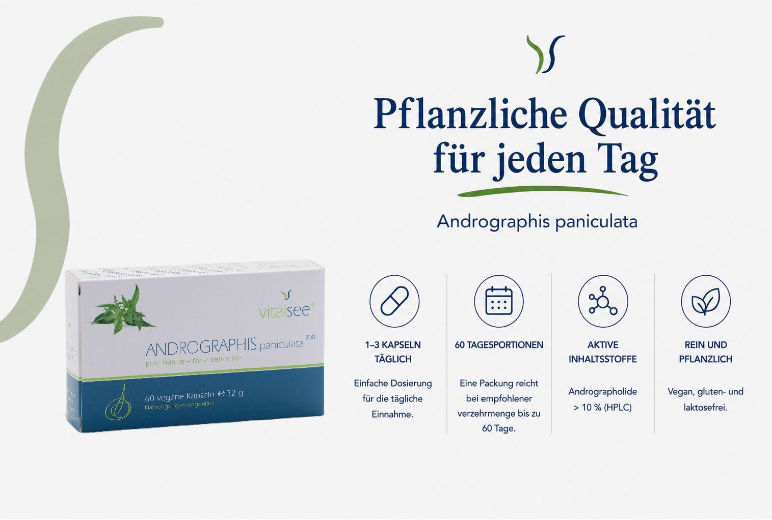 Verpackung von Vitalsee ANDROGRAPHIS paniculata 300 Extrakt mit Icons für tägliche Einnahme und vegan.