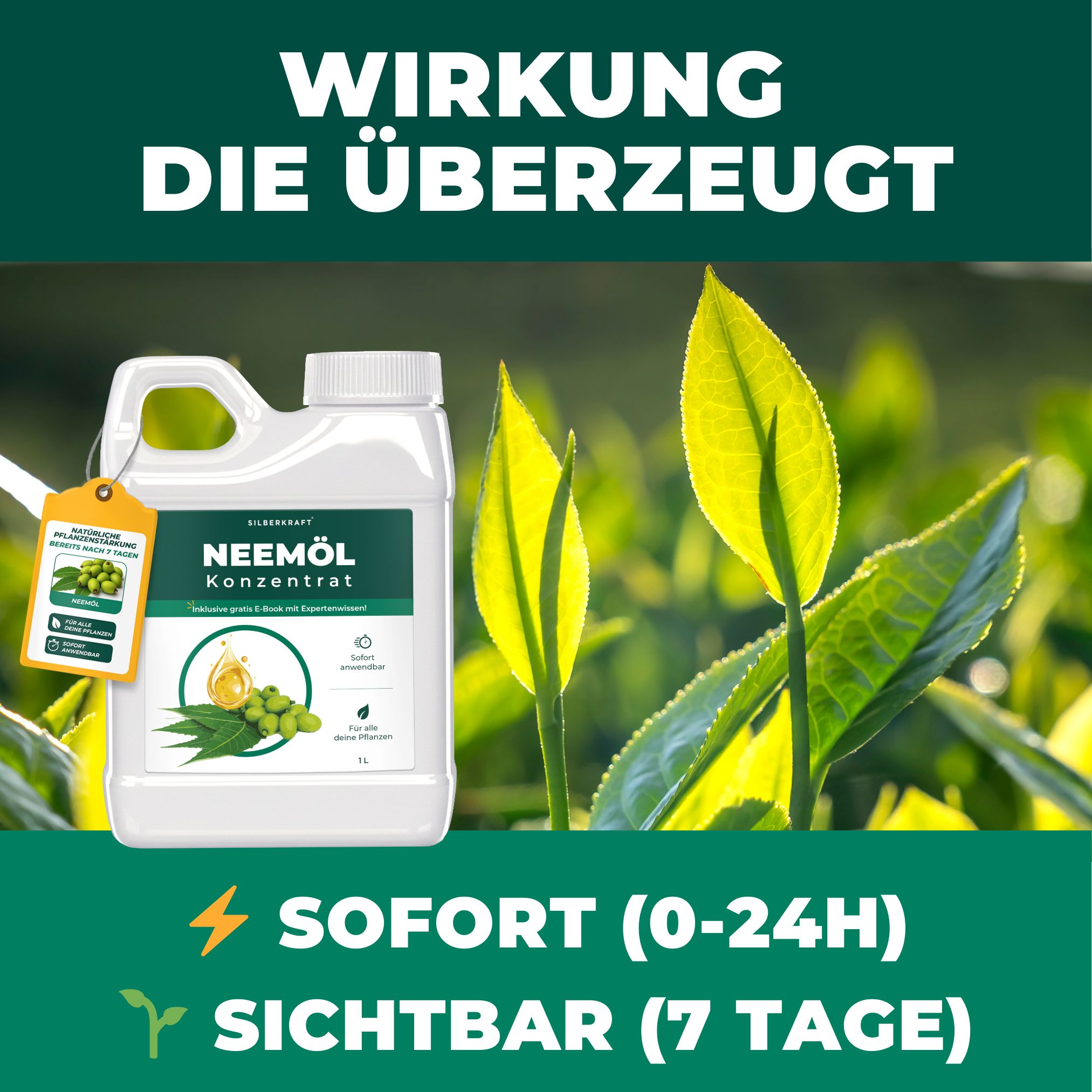 Produkt SILBERKRAFT Niemöl Konzentrat. Text: SOFORT (0-24H) SICHTBAR (7 Tage). Kanister mit Etikett und Abbildung von Blättern und Früchten.