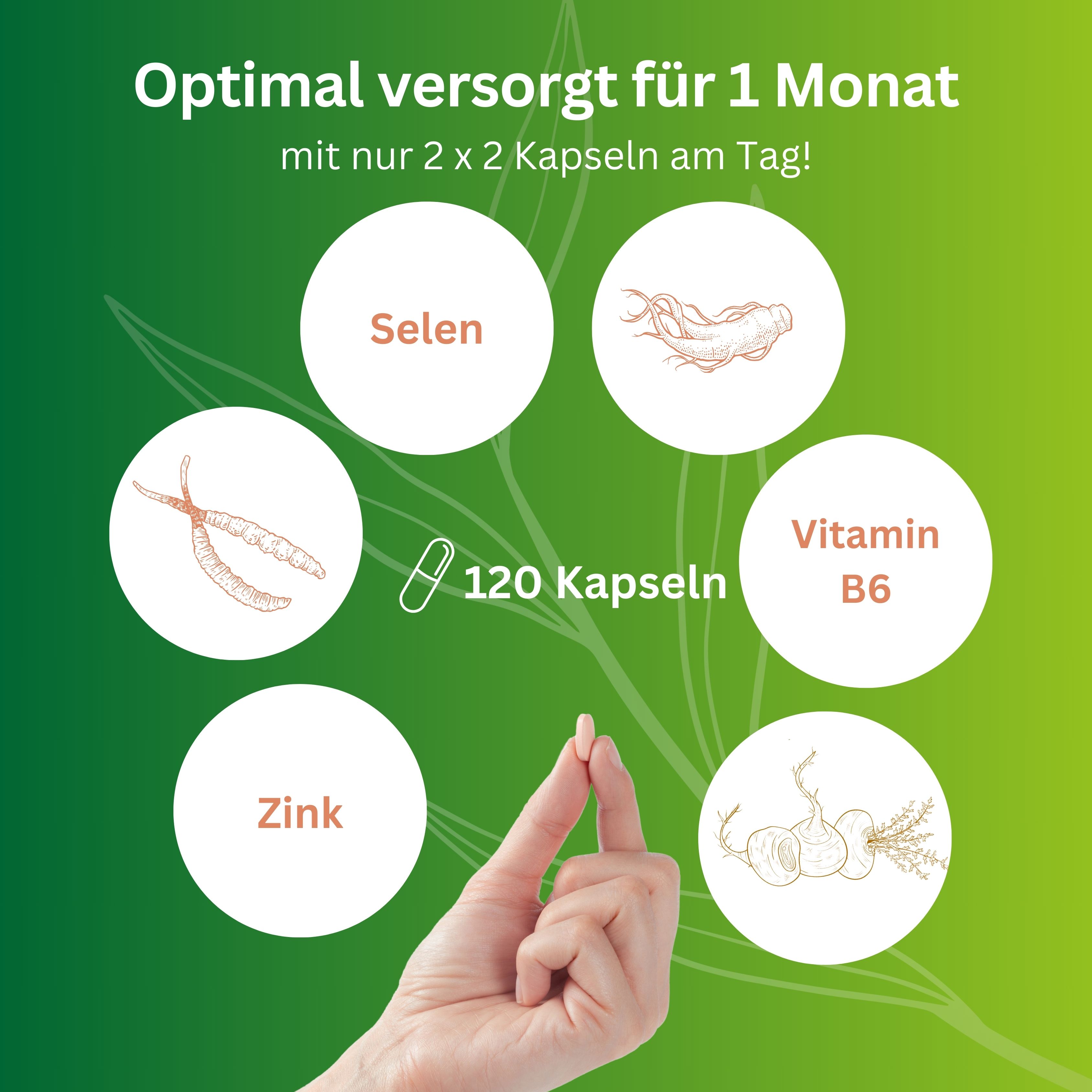 vitelly Pimp my Sperm Set für einen Monat