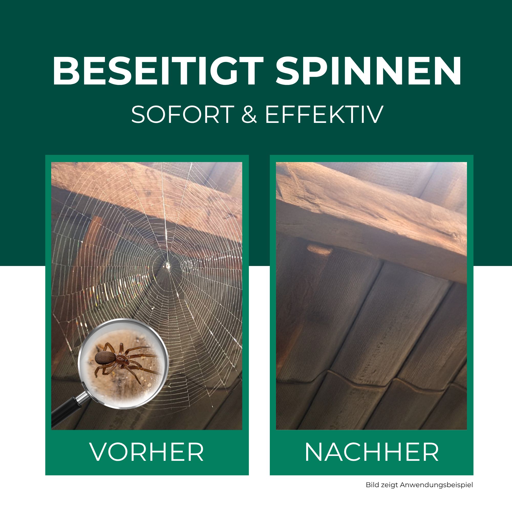 Zwei Bilder: Vorher mit Spinnennetz und Spinne, Nachher ohne Netz. Text: Beseitigt Spinnen sofort & effektiv.
