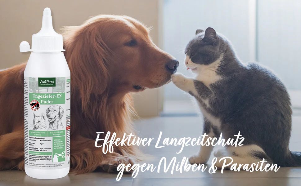 Produktflasche neben Hund und Katze. Text: Effektiver Langzeitschutz gegen Milben & Parasiten. Logo AniForte. Hintergrund: verschwommene Szene.