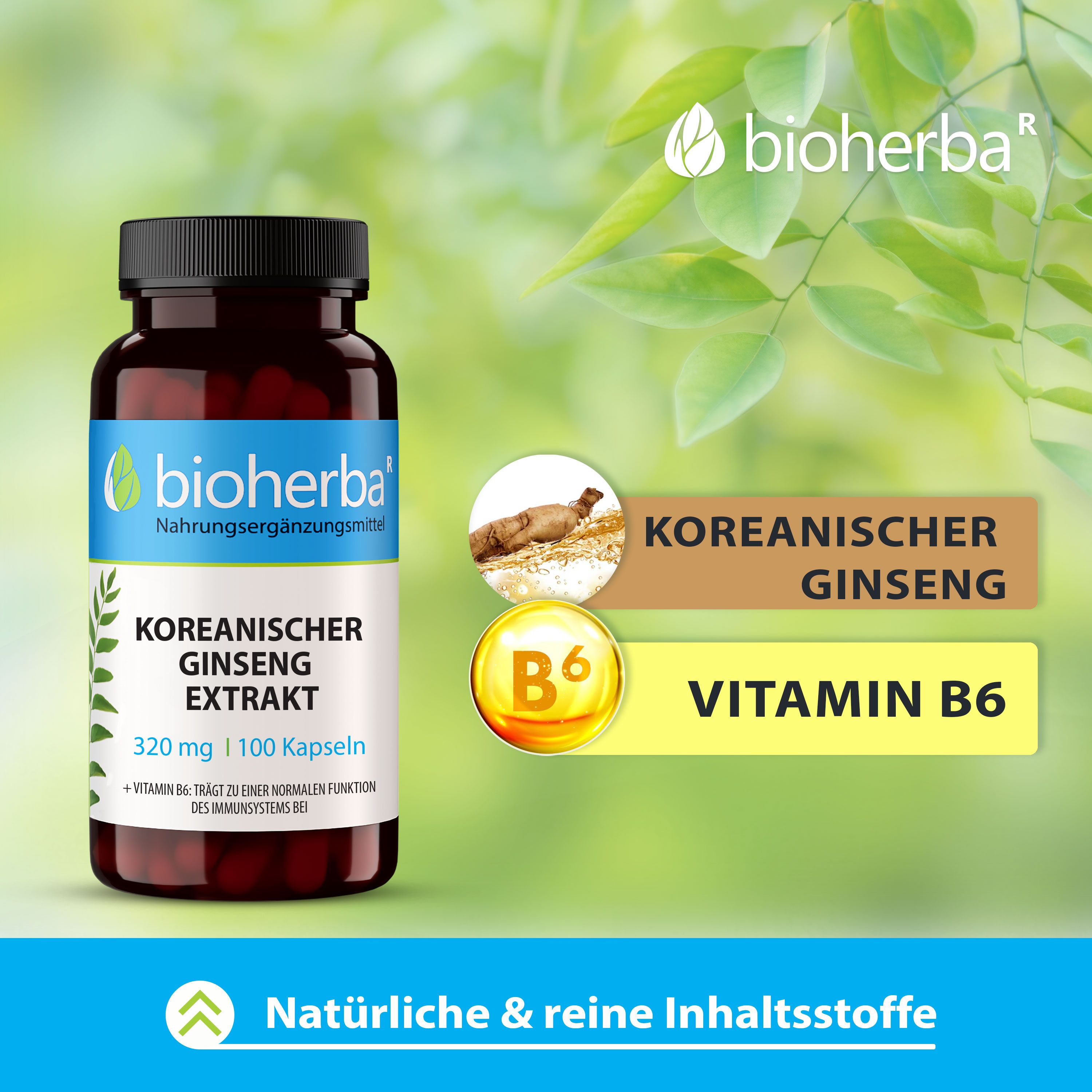 Bioherba Koreanischer Ginseng Kapseln. Braune Flasche mit Kapseln. Text: Koreanischer Ginseng, Vitamin B6. Abbildung von Ginsengwurzel und Vitamin B6.