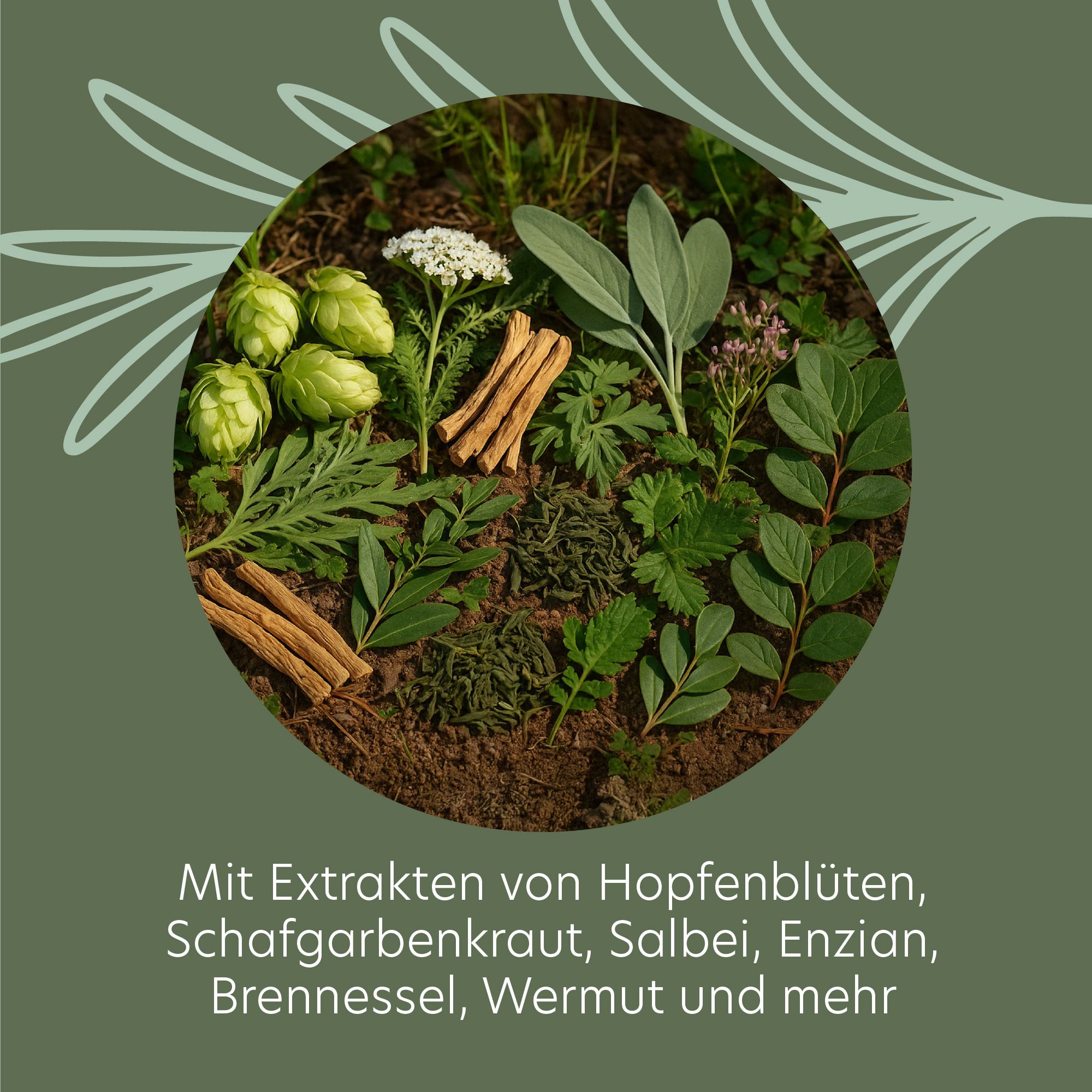 Kreisförmige Anordnung von Kräutern und Pflanzen. Aufschrift: Mit Extrakten von Hopfenblüten, Schafgarbenkraut, Salbei, Enzian, Brennnessel, Wermut und mehr.