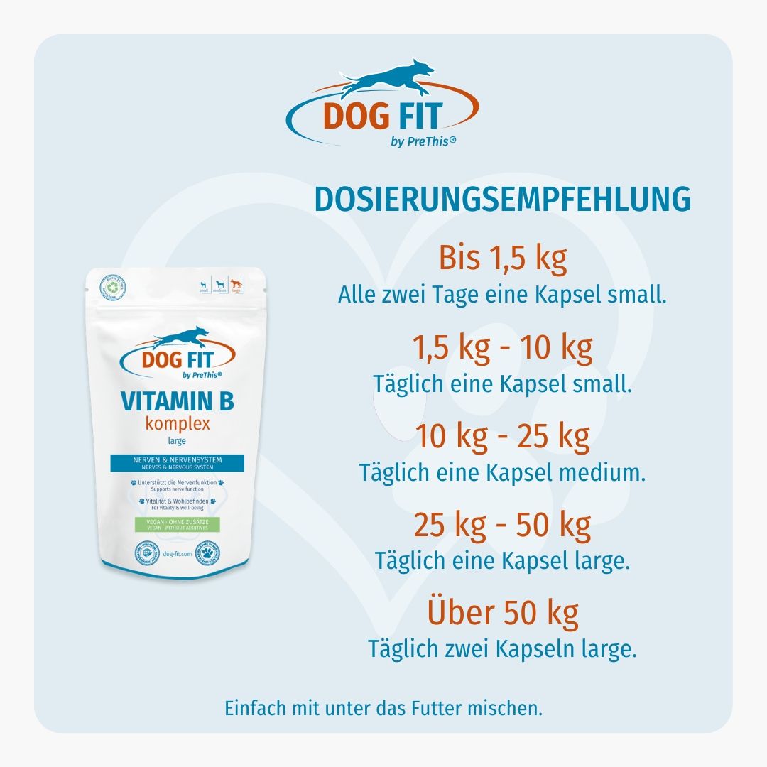 DOG FIT by PreThis® JOINTS & VITAMIN B Kombiset (large)