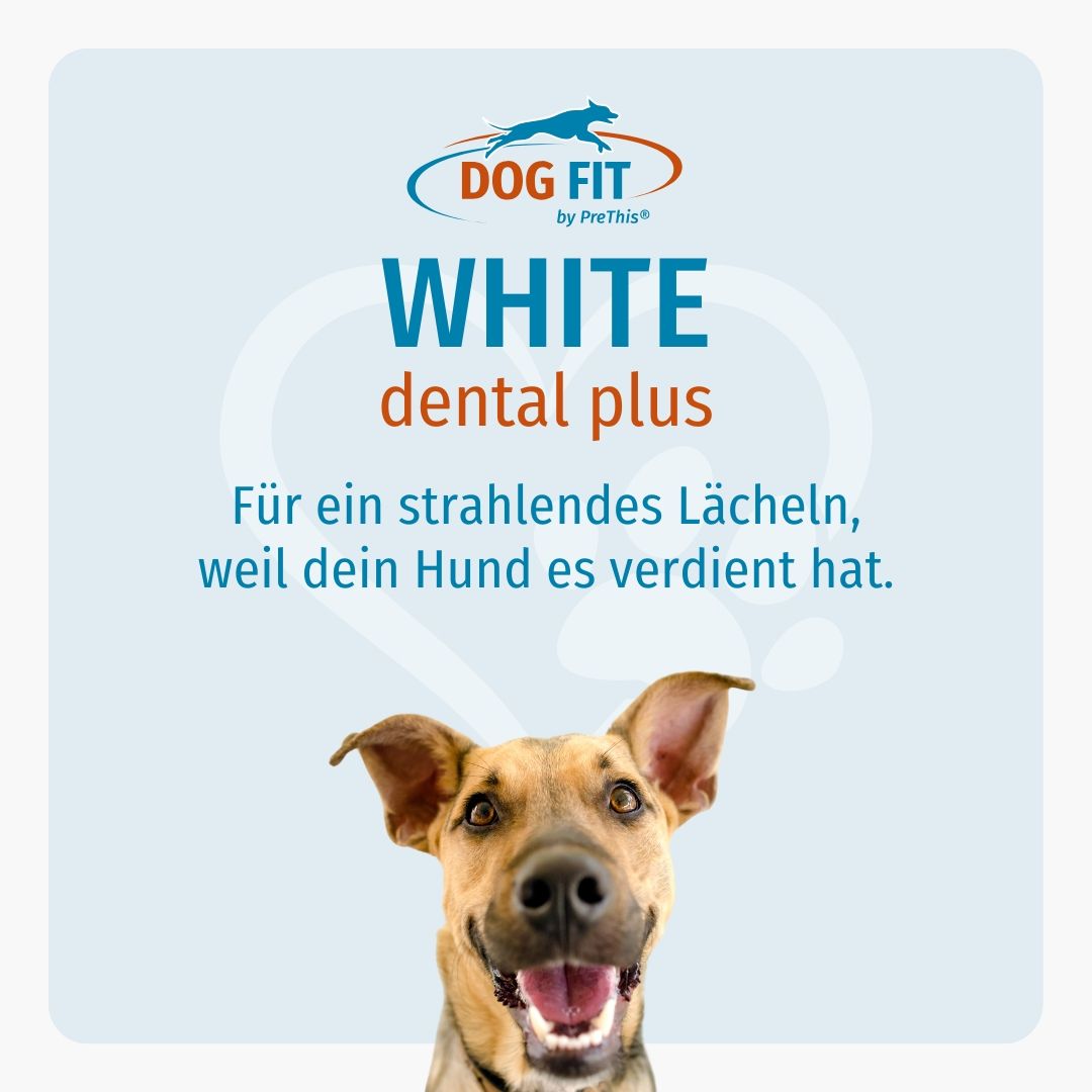 DOG FIT by PreThis® WHITE dental plus » Zahnsteinreduzierung & Zahnpflege für Hunde