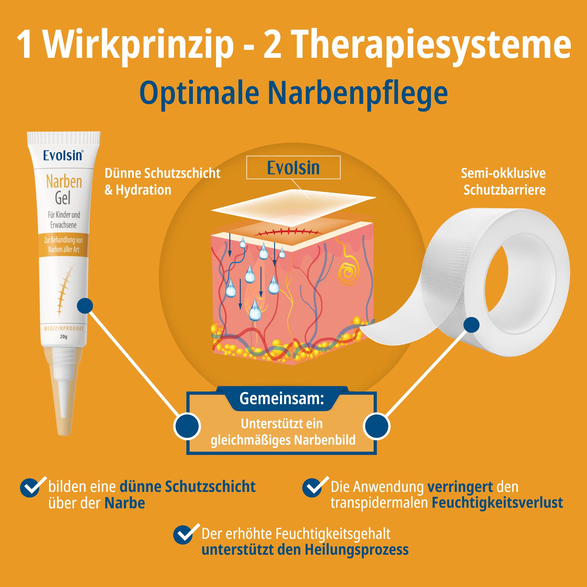 Evolsin® Narben Intensiv-Kur: Narbengel + Narbenpflaster - Reduziert die Sichtbarkeit von Narben