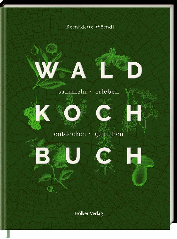 Buchcover von "Das Wald-Kochbuch". Grüner Hintergrund mit Illustrationen von Pflanzen. Titel und Autor sind sichtbar. Verlag: Hölker Verlag.