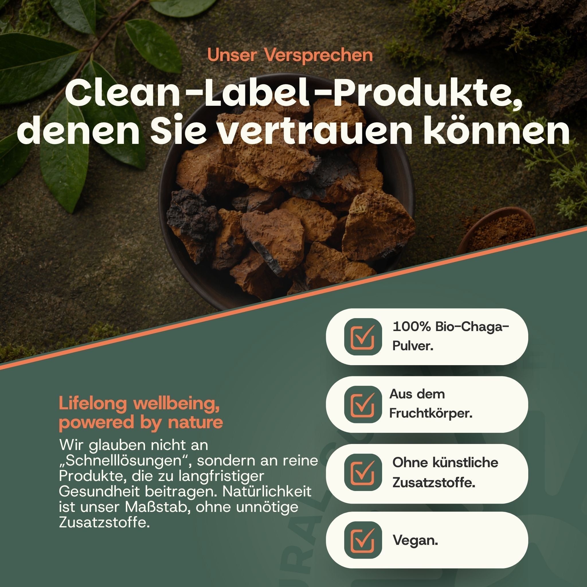 Schale mit Chaga-Pilzstücken. Daneben Hinweise: 100% Bio-Chaga-Pulver, aus dem Fruchtkörper, ohne künstliche Zusatzstoffe, vegan.