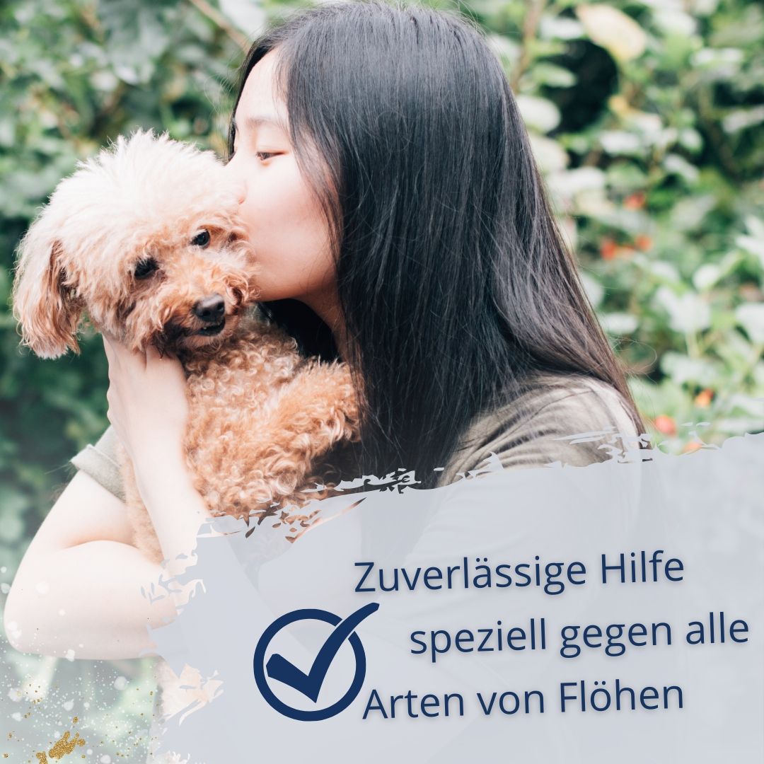 Frau küsst einen Pudel. Text: "Zuverlässige Hilfe speziell gegen alle Arten von Flöhen".