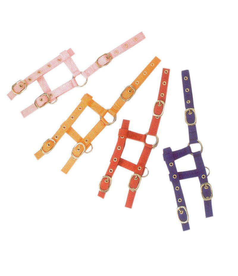 Vier Halfter in verschiedenen Farben: rosa, orange, rot und blau. Goldfarbene Schnallen.