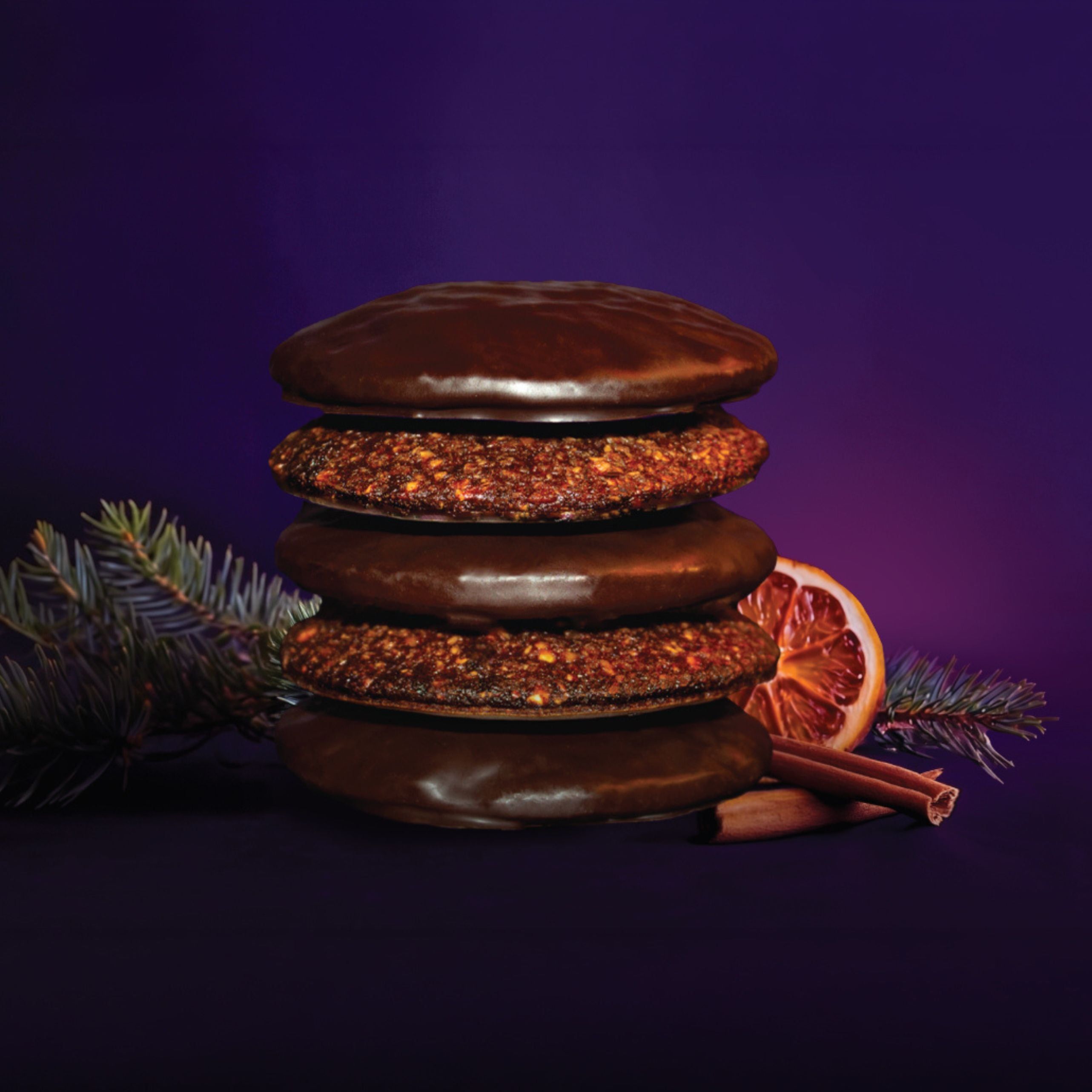 Dose 'Odilia Bio Elisen Lebkuchen' mit Aufdruck 'Glutenfrei', '48% Nussanteil'. Daneben zwei Lebkuchen.