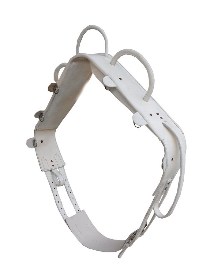 Weißer Voltigiergurt aus Leder. Mit Schlaufen und Schnallen. Auf weißem Hintergrund.