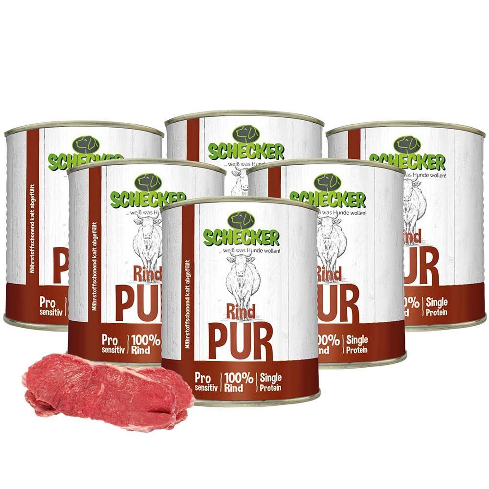 Sechs Dosen Schecker Nassfutter 100% Rind PUR, daneben ein Stück rohes Rindfleisch. Dosen mit Etikett: Schecker, Rind PUR, 100% Rind, Single Protein.
