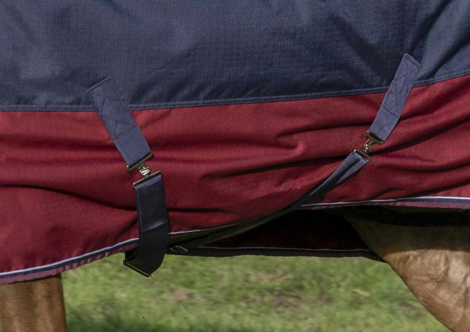 Equitheme Outdoordecke TYREX High Neck