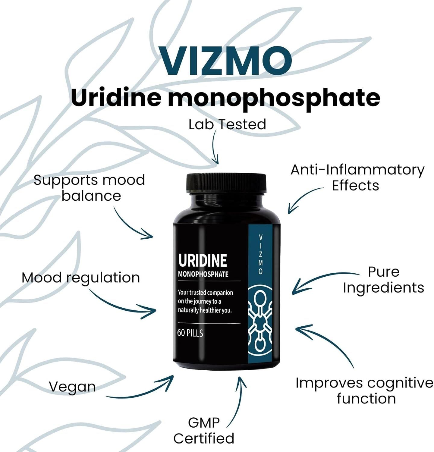 Produktflasche mit Text und Pfeilen, die Vorteile hervorheben: Stimmung, kognitive Funktion, Inhaltsstoffe, vegan, GMP-zertifiziert.