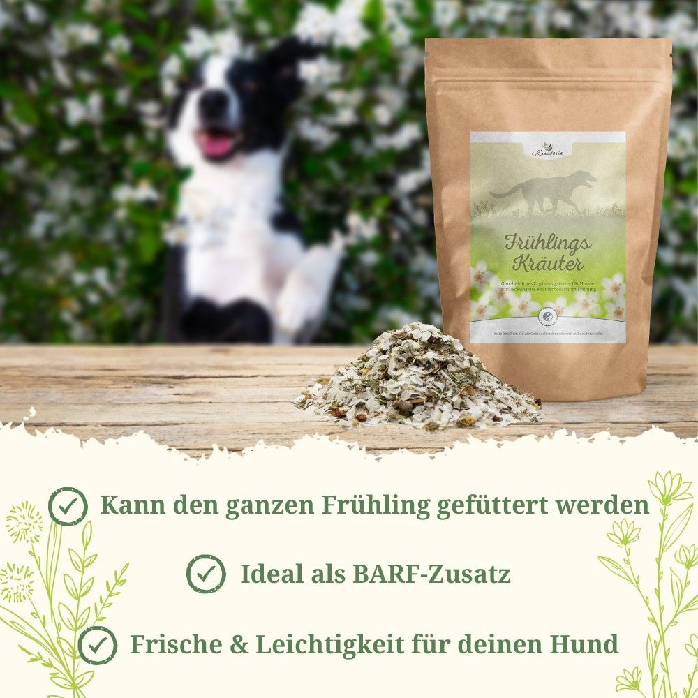 Produktbild mit brauner Tüte Kräuter für Hunde und Kräutermischung. Text: Kann den ganzen Frühling gefüttert werden. Ideal als BARF-Zusatz. Frische für Hunde.
