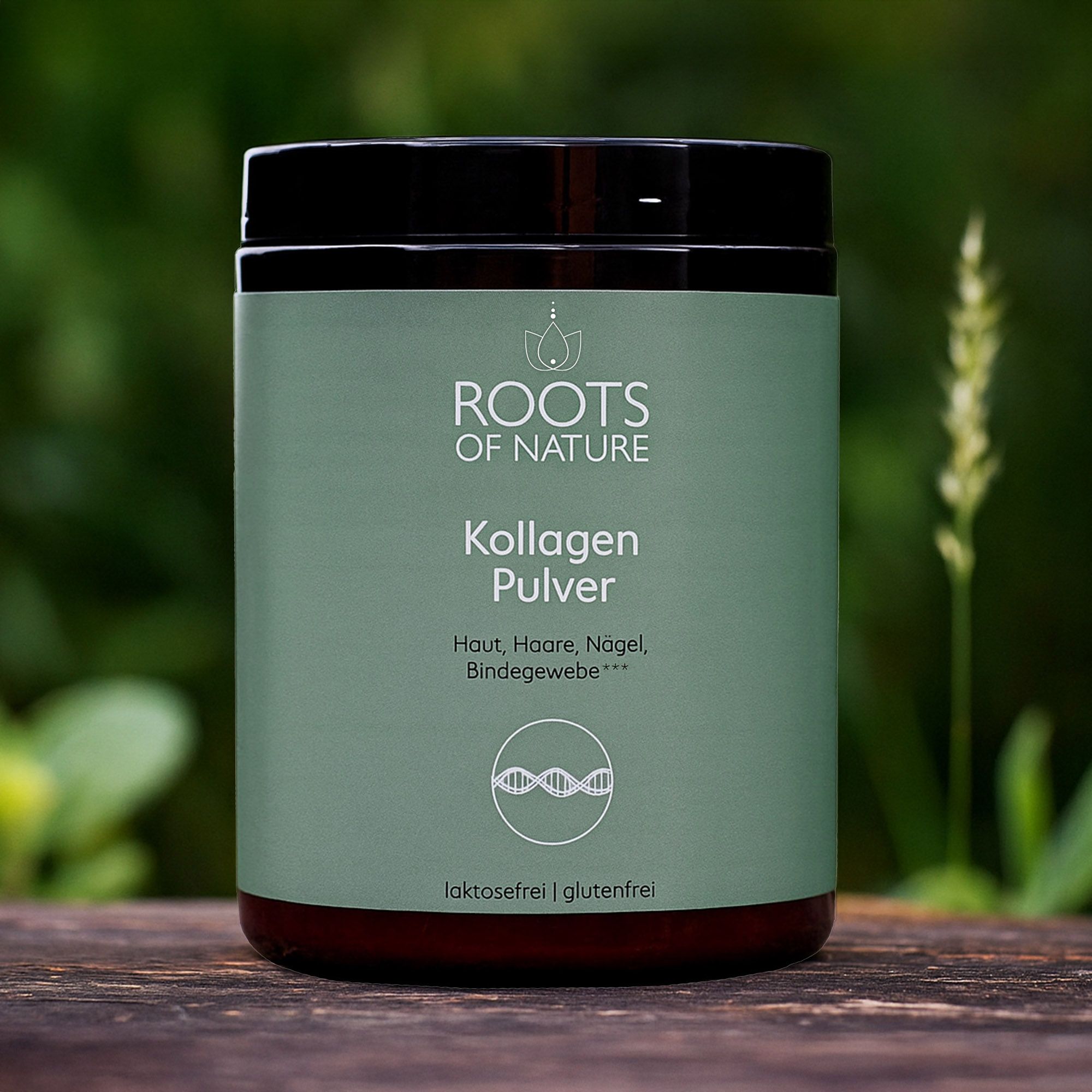 Braune Dose mit grünem Etikett. ROOTS OF NATURE, Kollagen Pulver. Text: Haut, Haare, Nägel, Bindegewebe. Laktosefrei, glutenfrei.