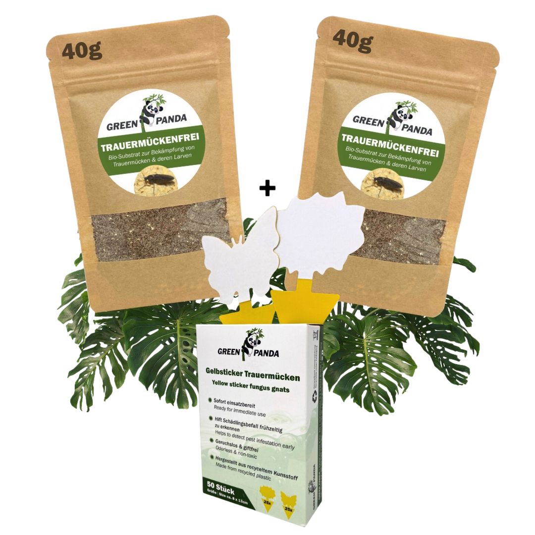 Zwei Beutel Bio Trauermückenfrei Substrat, Gelbsticker, und eine Schachtel Gelbsticker. Blätter im Hintergrund.