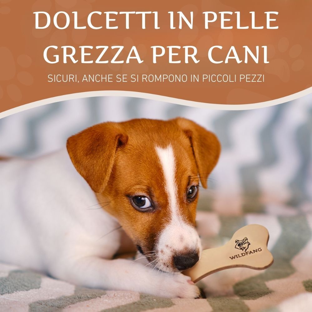 Hund kaut auf einem Lederknochen. Der Knochen hat die Form eines Knochens. Auf dem Knochen ist das WILDFANG® Logo zu sehen.