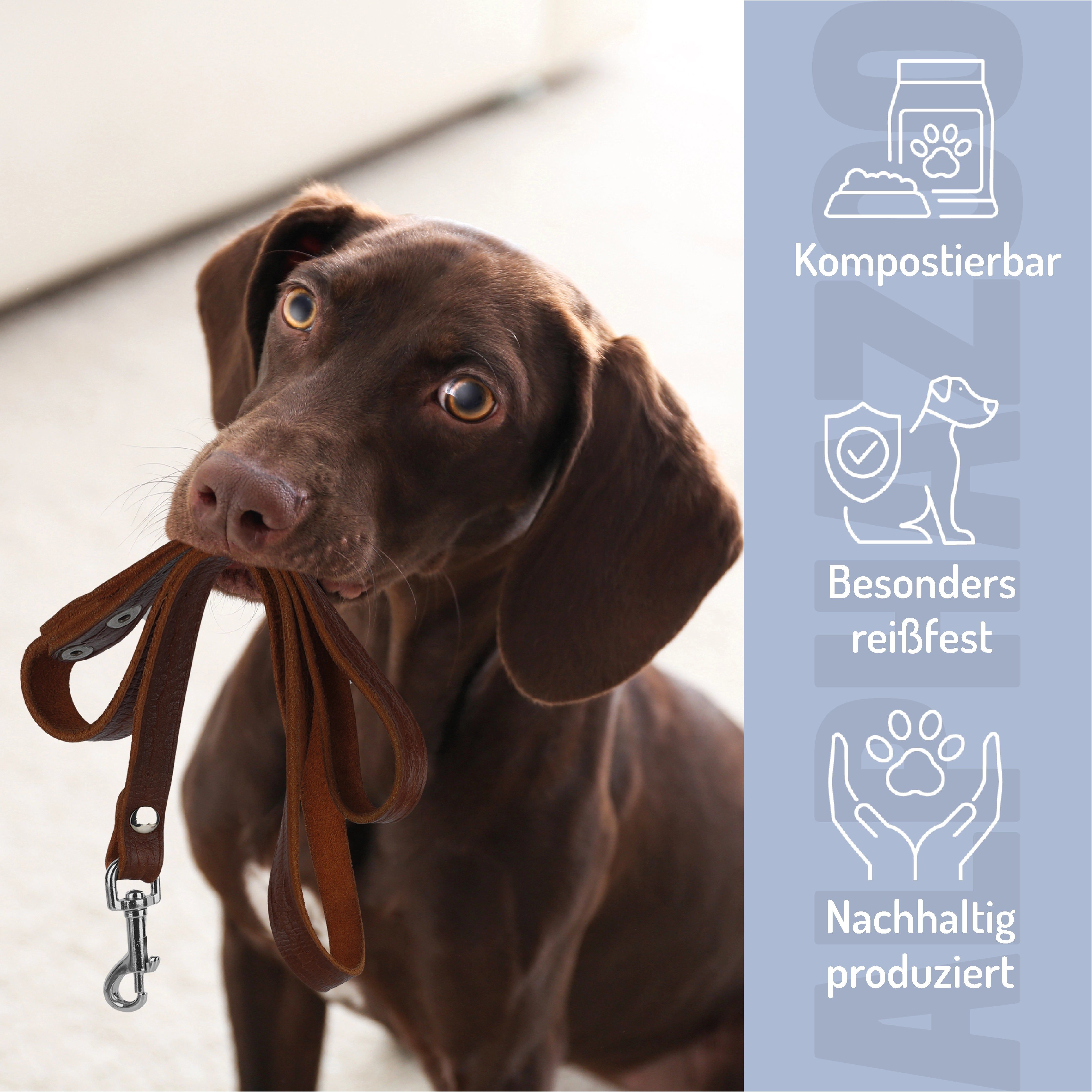 Brauner Hund mit Lederleine im Maul. Symbole: Kompostierbar, besonders reißfest, nachhaltig produziert. Hintergrund: hellblau mit Symbolen.