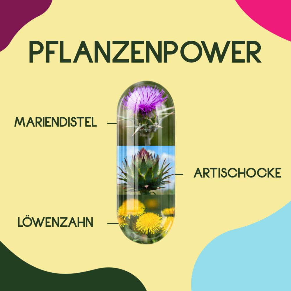 Kapsel mit Mariendistel, Artischocke und Löwenzahn. Text: Pflanzenpower. Inhaltsstoffe: Mariendistel, Artischocke, Löwenzahn.