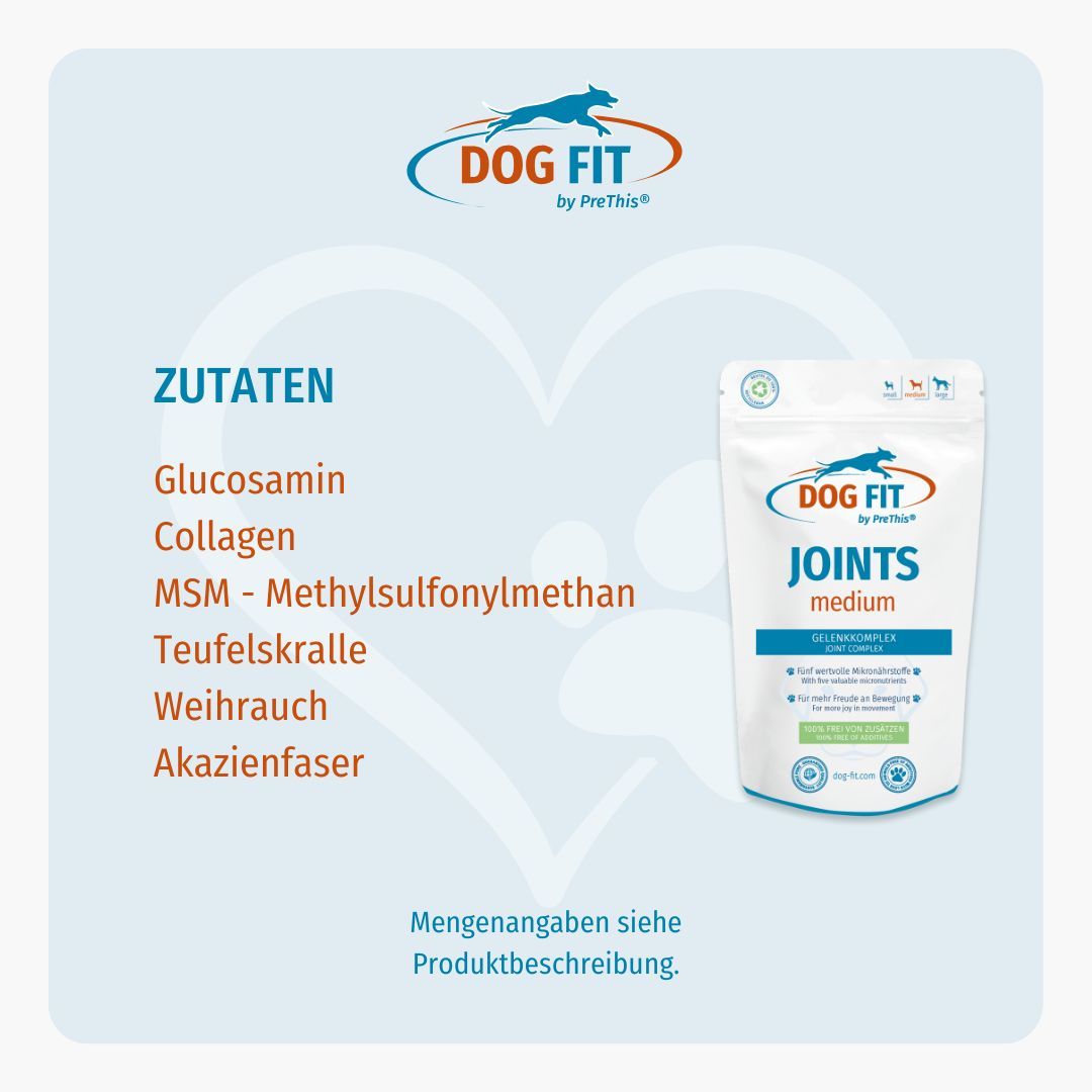 DOG FIT by PreThis® JOINTS & VITAMIN B Kombiset (medium)