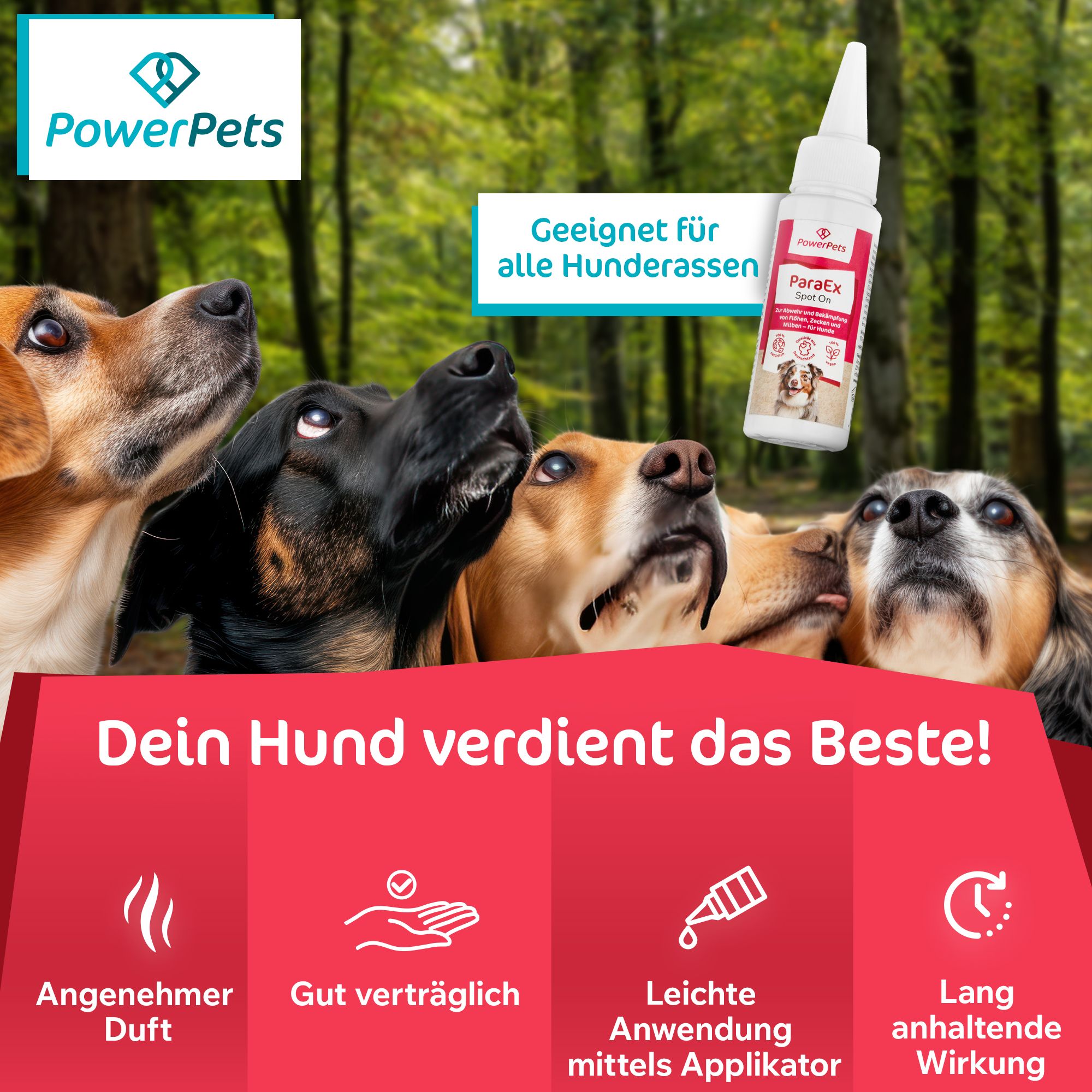 ParaEx - SpotOn für Hunde - 40ml