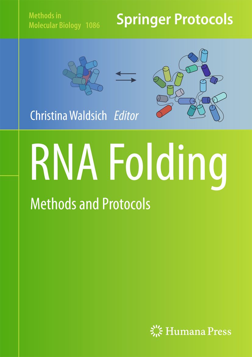 RNA Folding