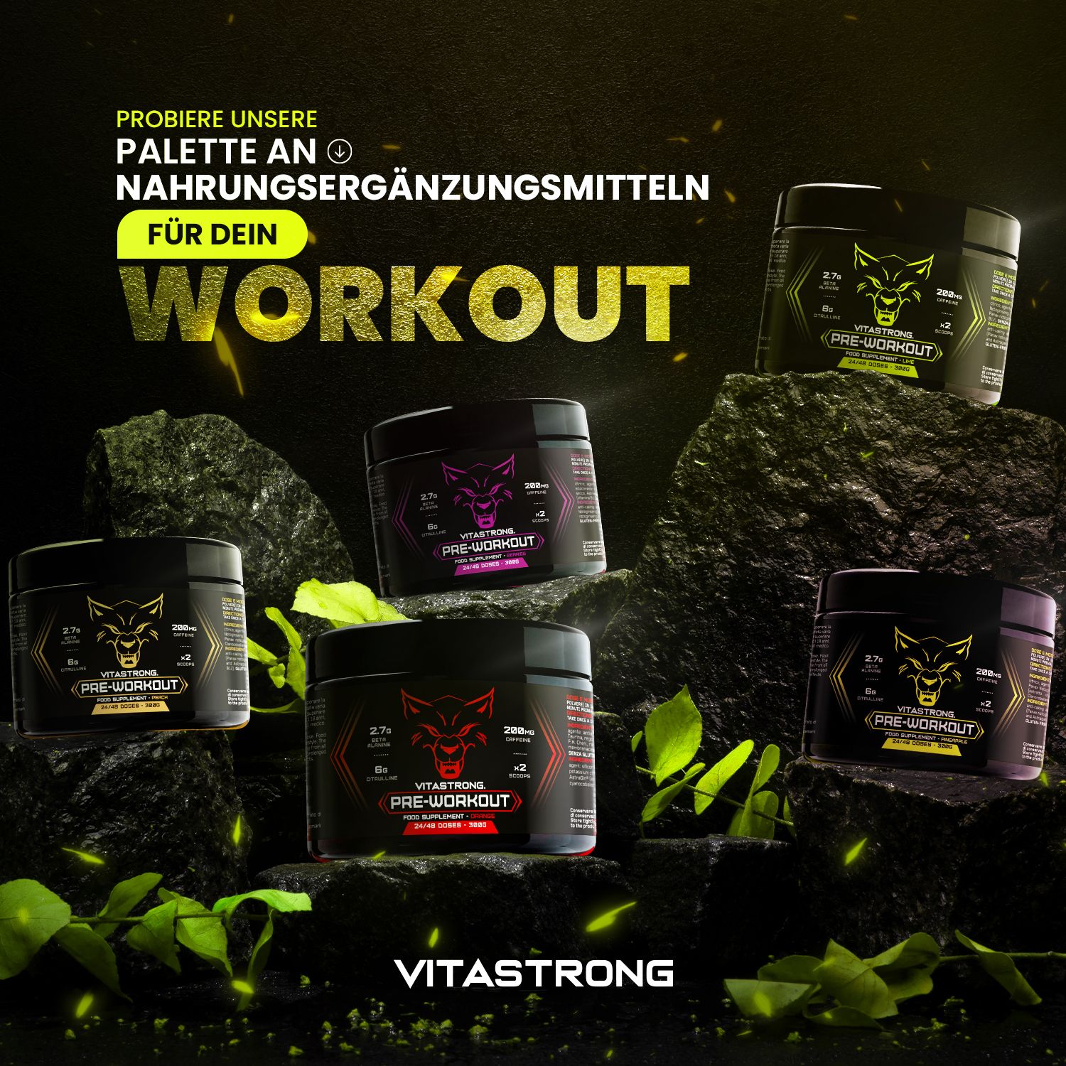 Mehrere Dosen Vitastrong Pre-Workout auf Felsen. Schwarze Dosen mit Wolfslogo. Text: WORKOUT, VITASTORNG.