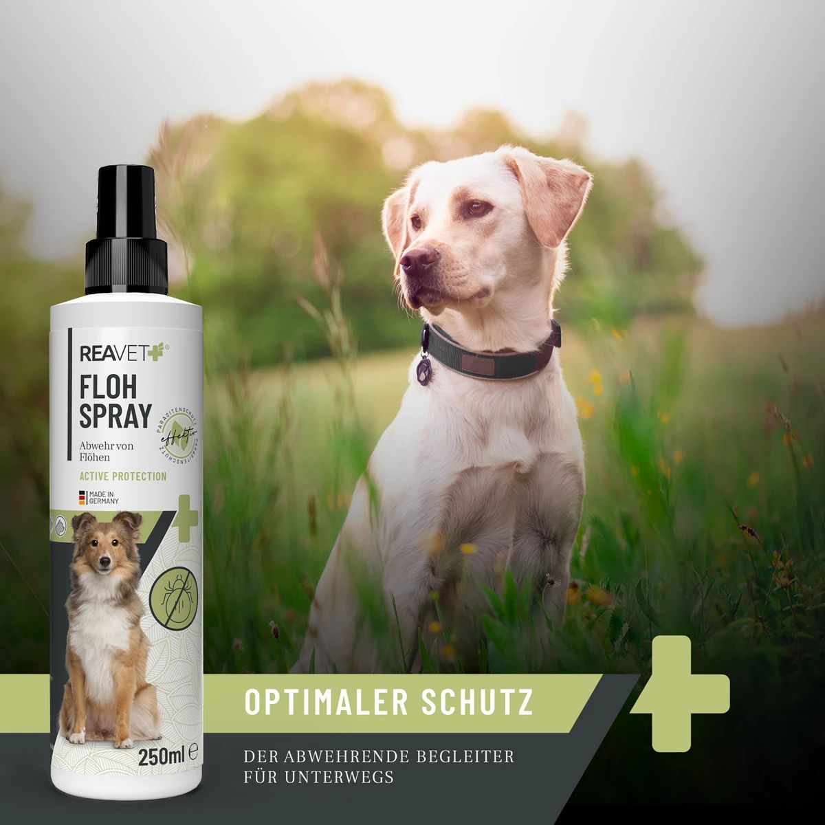 Floh Spray - ReaVET