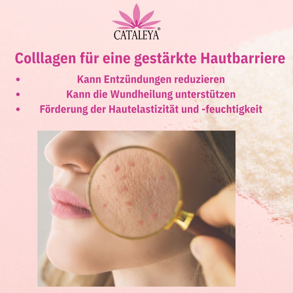 Gesicht mit Lupe. Text: Collagen für eine gestärkte Hautbarriere. Kann Entzündungen reduzieren, Wundheilung unterstützen.
