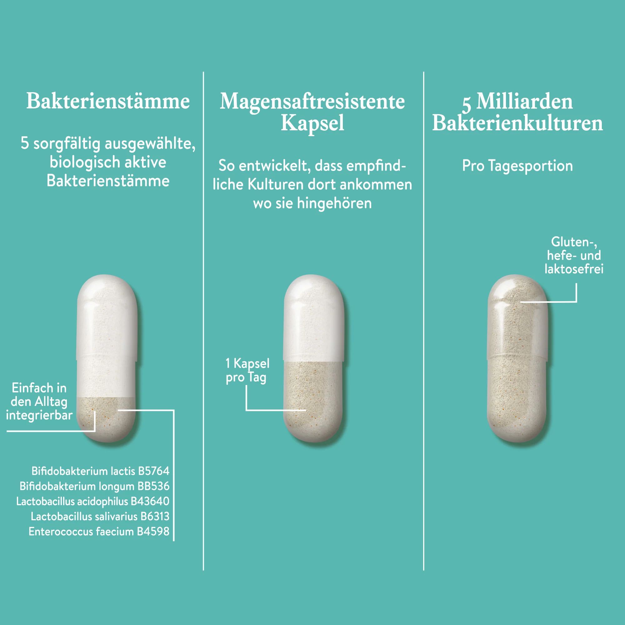 Detailansicht der Kapseln von MABYEN Mama Kulturen Komplex. 5 Bakterienstämme, magensaftresistent.