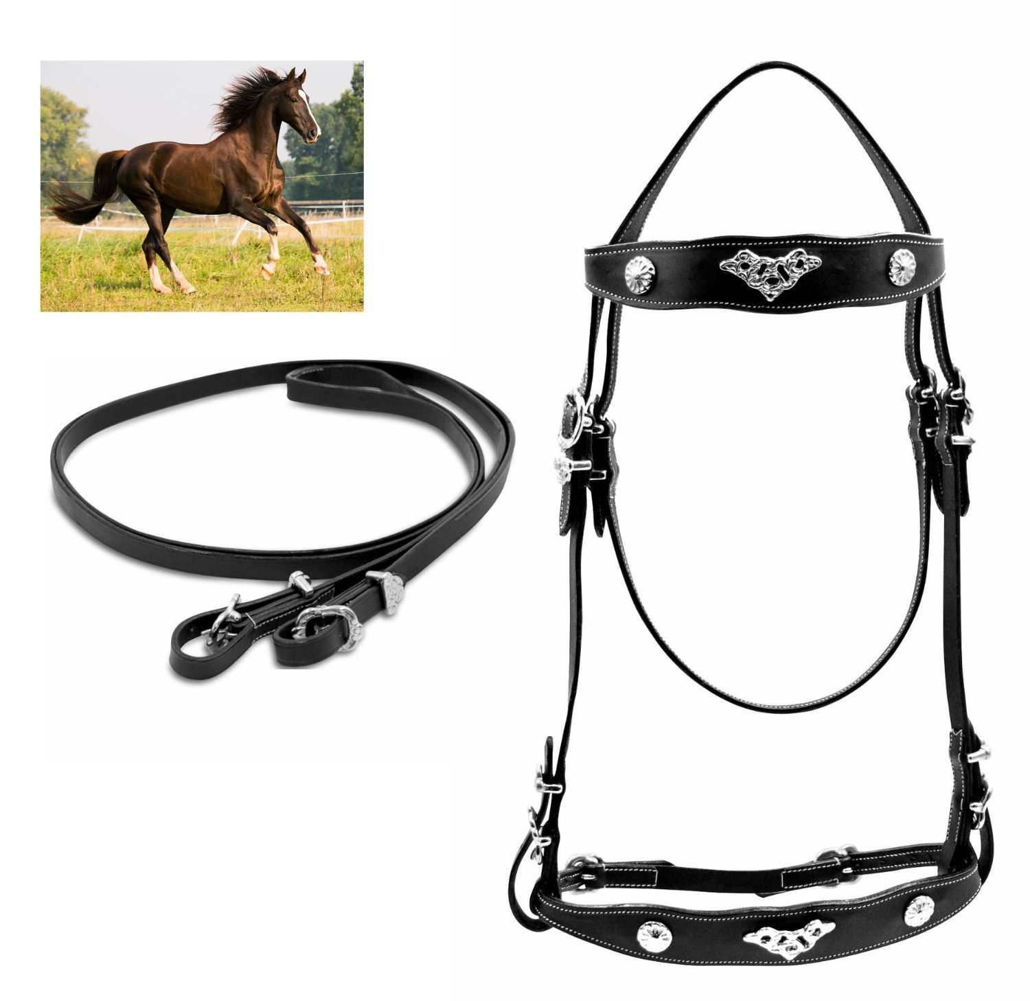 Schwarzer Zaum mit Zügeln. Detailansicht mit silberfarbenen Beschlägen. Hintergrund: galoppierendes Pferd.